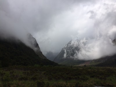 树木和山峰